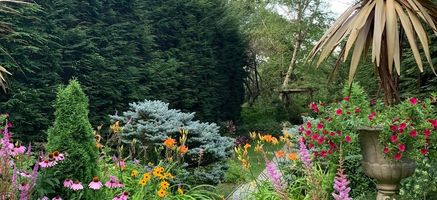 How to Wake Up Your Garden!